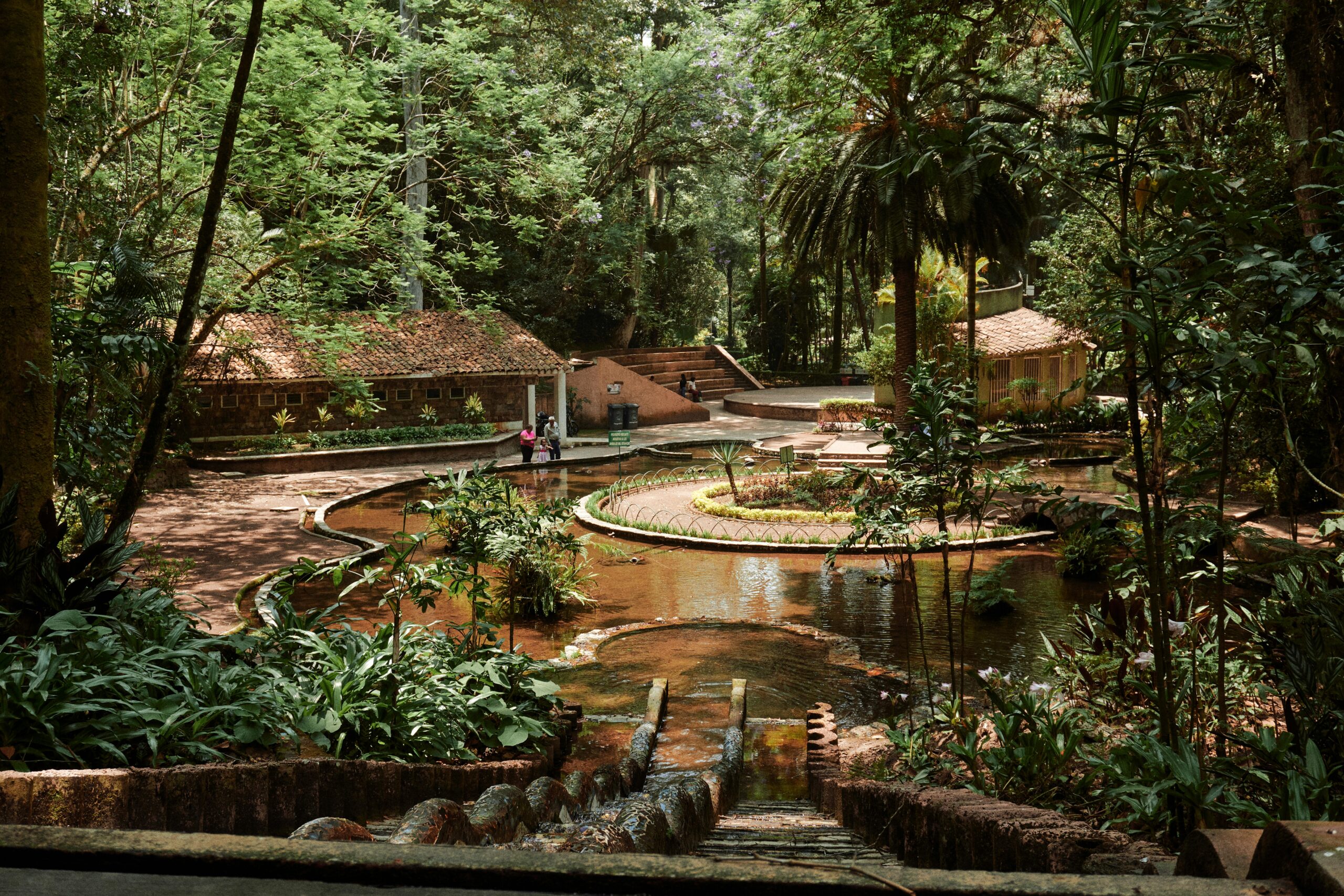 pexels-photo-16476007-16476007 Serene view of a pond nestled in lush greenery at a park in Xalapa-Enríquez, Mexico.