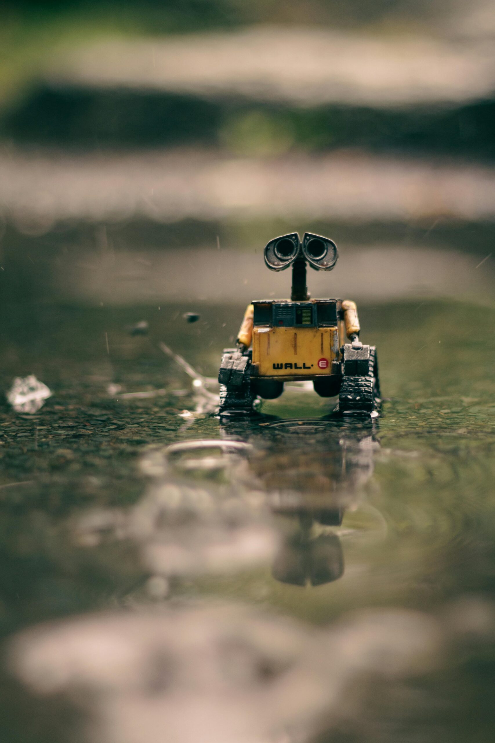 pexels-photo-5895399-5895399 A toy robot on a wet surface with blurred background, captured outdoors.