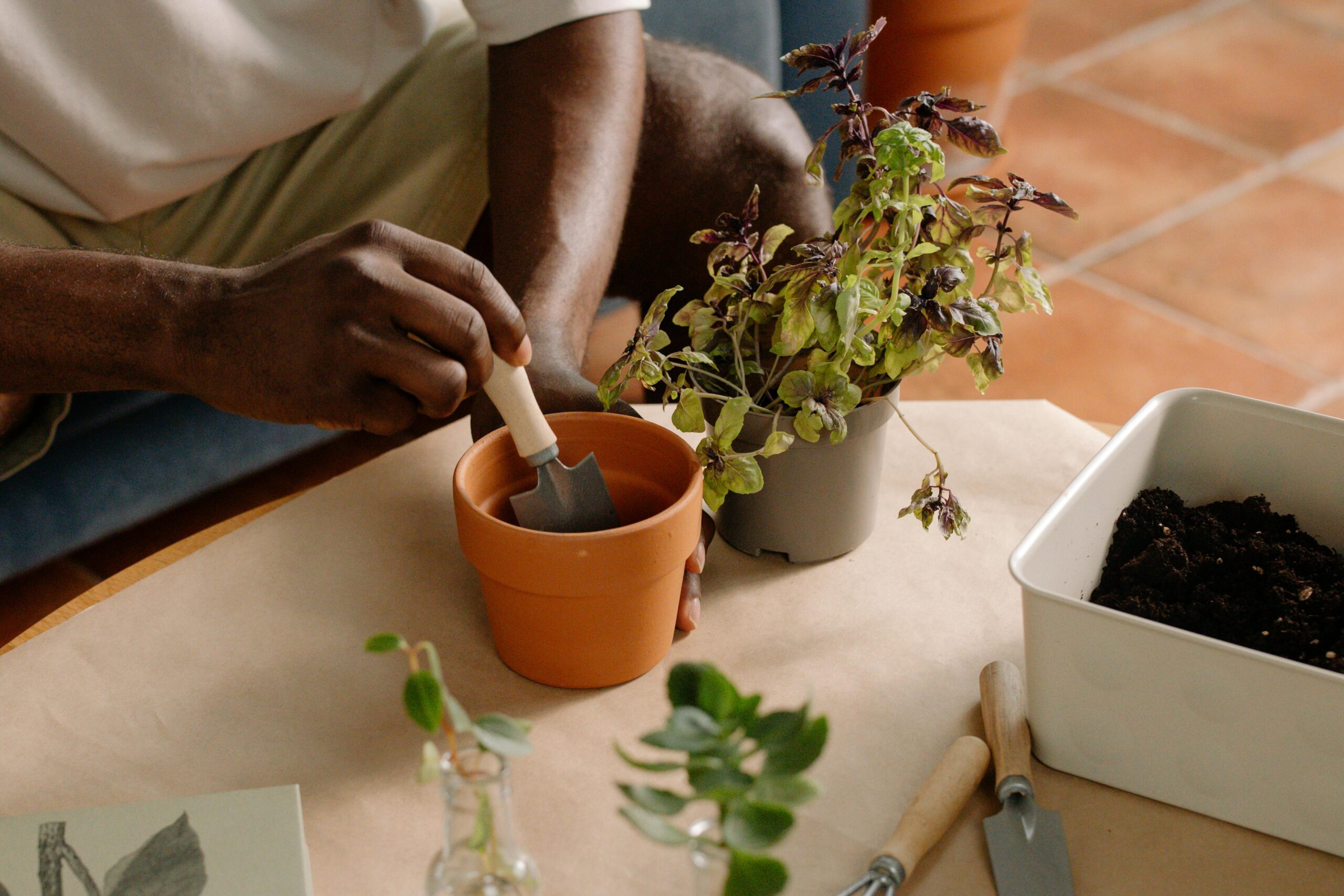 pexels-photo-9709236-9709236 A person planting herbs in pots indoors, focusing on garden tools and soil.